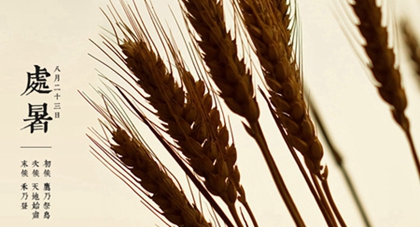 处暑有什么习俗,2020年8月22日处暑开业好吗？