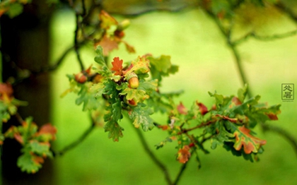 处暑有什么习俗,2020年8月22日处暑开业好吗？