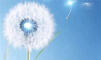 2020年处暑还要几天,2020年七月初四处暑办喜酒好吗？