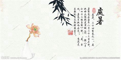 2020年处暑还要几天,2020年七月初四处暑办喜酒好吗？