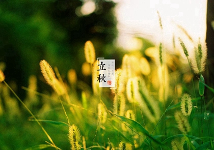 属虎在86年立秋出生好吗,立秋前后有什么禁忌？