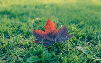 2020生肖鼠的人立秋出生命好吗,今年立秋时间几点