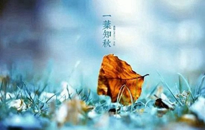 03年属羊的人立秋出生命好吗,生肖羊与什么属相最配？