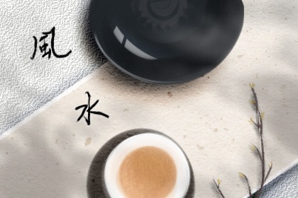 属兔适合摆什么茶宠 金蟾茶宠