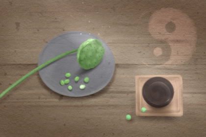 养茶宠金蟾有什么忌讳 养茶宠金蟾有什么忌讳 切忌水煮