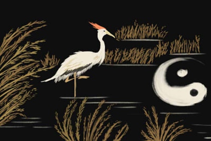 风水26 养双猫不吉利 会带来额外的厄运