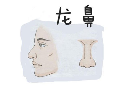 龙鼻对面相有什么影响呢