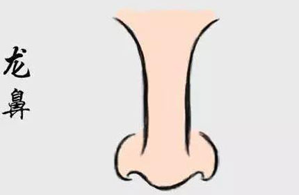 龙鼻对面相有什么影响呢