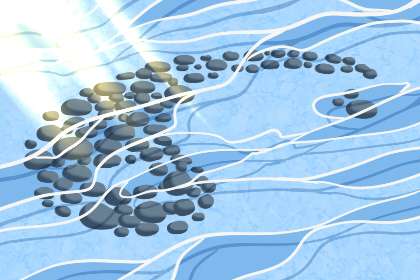 周公解梦梦见狗 要重视道德方面