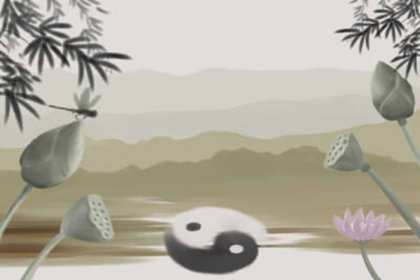 梦见很多死鱼 最近可能会破财