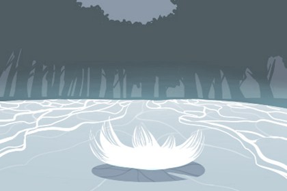 梦见怀孕生出狸猫预兆什么 财运好