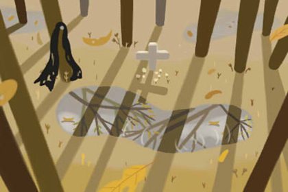 新房放什么植物好 新房放什么植物好 富贵竹好