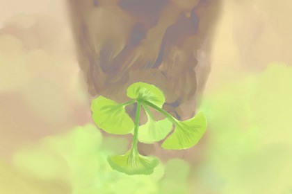 聚宝盆种植物能更聚财吗 聚宝盆种植物能更聚财吗 可以聚财