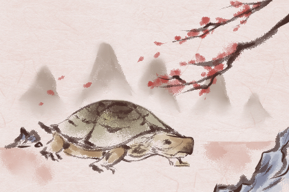 乌龟爬到家里来 乌龟爬到家里来预示什么 具有转运的作用