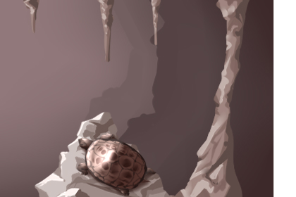 乌龟养多久会有灵性 几个月就会有灵性