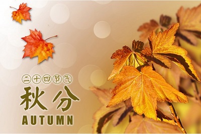 2020鼠年秋分日子领证好吗？秋分结婚有什么影响？