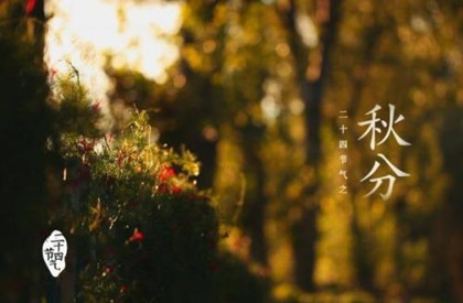 2020年秋分是几月几日几点几分?秋分相关谚语有些什么？