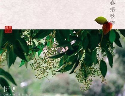 2020年秋分是几月几日几点几分?秋分相关谚语有些什么？