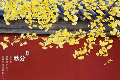 秋分节气的含义是什么？秋分为什么又叫丰收节？