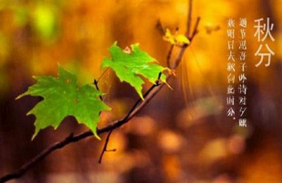 秋分节气的主要特点是什么？2020秋分前一天结婚好吗？