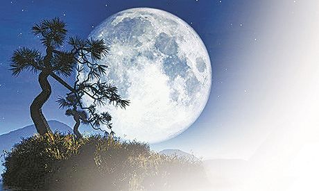 2020年中秋节一家三口去哪里最好？中秋出游攻略介绍