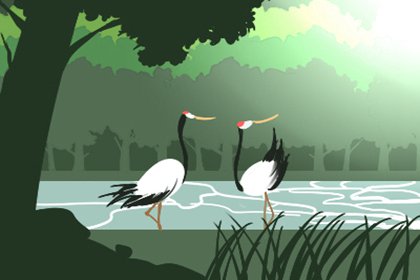 墓地也要看风水宝地 植物比较多