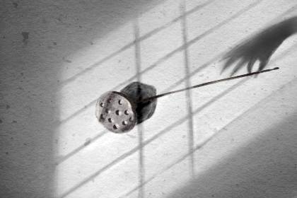 住庙前不住庙后的说法 因为庙前风水好