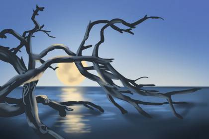 2020年中元节能烧纸吗 风水有哪些禁忌