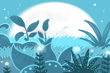 2021年春节讲究哪些礼节 2021年春节讲究哪些礼节 风水方面