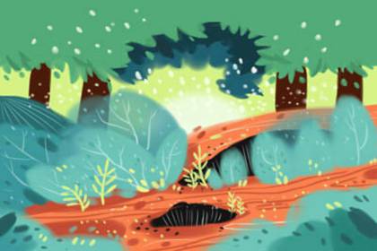 旺学业的植物 文竹可以放书桌旺学业