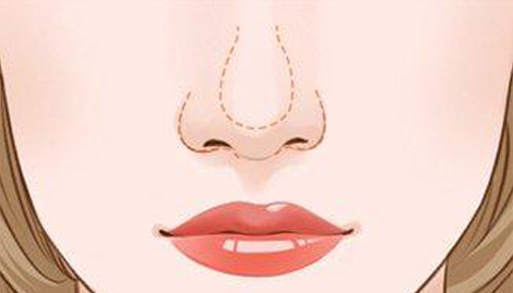 从面相上看大鼻子头有什么说法吗