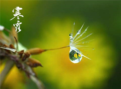 寒露节气是在什么季节？寒露的温度一般多少度？