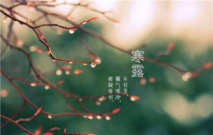 寒露前一个节气是什么?寒露晨练有什么注意事项?