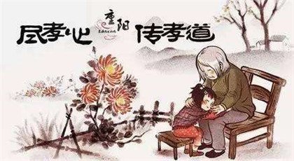 重阳节送什么花给老人最合适？重阳节为什么叫老人节？