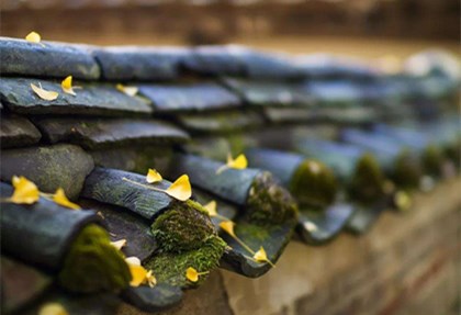 寒露风是什么意思?你必须知道的寒露锻炼注意事项!