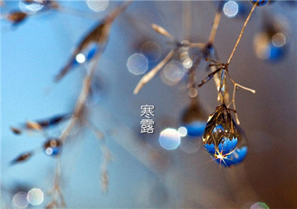 寒露节气道家是怎么养生的？寒露节气养生茶推荐！