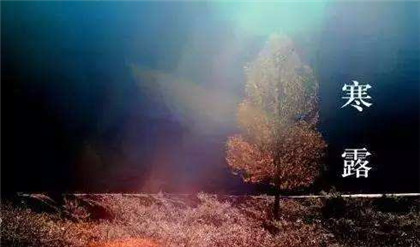 寒露节气道家是怎么养生的？寒露节气养生茶推荐！