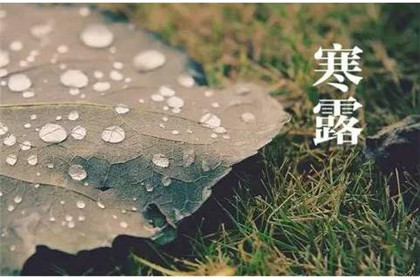 2020年寒露到霜降差几天?寒露和霜降哪个节气更冷?