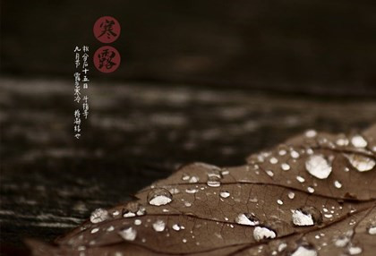 寒露为什么吃芝麻?寒露吃芝麻有什么好处?