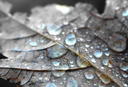 2020年寒露节气可以下葬吗?下葬下雨是什么兆头?