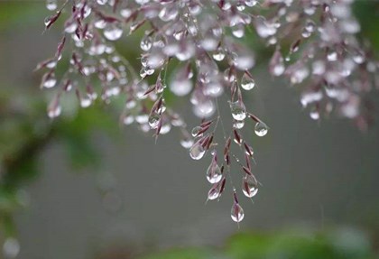 寒露泡脚有什么好处?寒露什么时间泡脚最好?