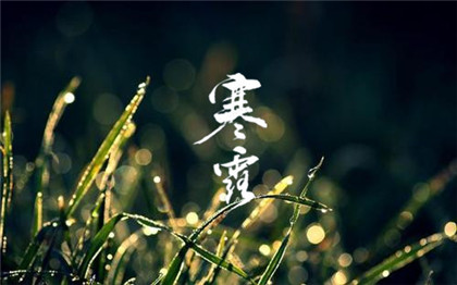 寒露风是有什么危害吗？要如何预防寒露风的影响？