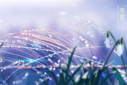 寒露风是有什么危害吗？要如何预防寒露风的影响？