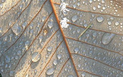 寒露不能做什么？寒露出生的名人明星有哪些？