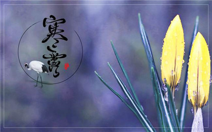 2020年寒露节气衣食住行要注意,千万不可大意!