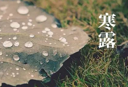 寒露吃什么蔬菜最好?时令养生去秋燥!