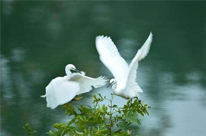 寒露吃什么蔬菜最好?时令养生去秋燥!