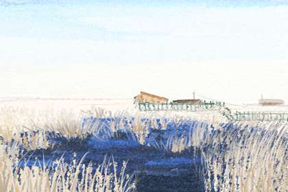 院子里葡萄树砍掉风水上好 可以砍掉不好的风水