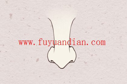 好命女人的鼻子特征 好命女人的鼻子特征 山根高挺鼻头圆润