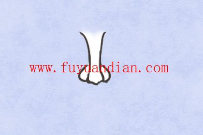 好命女人的鼻子特征 好命女人的鼻子特征 山根高挺鼻头圆润